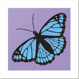 Blue viceroy butterfly Posters and Art